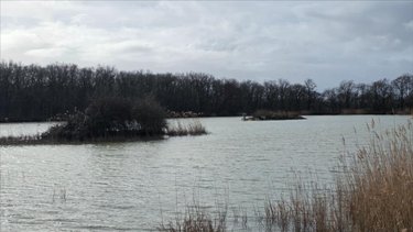 Terrains de loisirs bois etangs a vendre Mézières-en-Brenne 36290 Indre 72531 m2  213000 euros