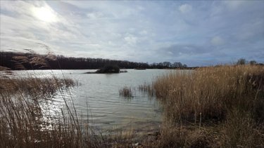 Terrains de loisirs bois etangs a vendre Mézières-en-Brenne 36290 Indre 72531 m2  213000 euros