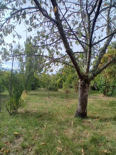 Maison a vendre Le Mans 72000 Sarthe 92 m2 4 pièces 119972 euros