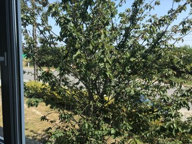 Maison a vendre Locmiquélic 56570 Morbihan 145 m2 6 pièces 556400 euros