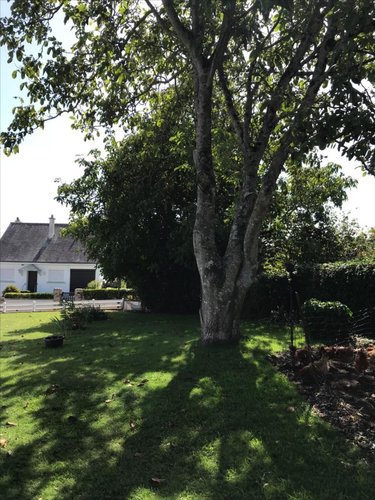 Terrain a batir a vendre Merlevenez 56700 Morbihan 478 m2  93600 euros