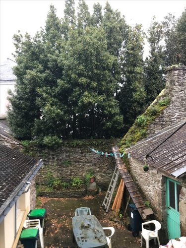 Viager maison Groix 56590 Morbihan 90 m2 5 pièces 312000 euros