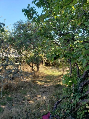 Maison a vendre Riantec 56670 Morbihan 130 m2 6 pièces 426400 euros