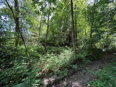 Terrains de loisirs bois etangs a vendre Broualan 35120 Ille-et-Vilaine 33000 m2  461720 euros