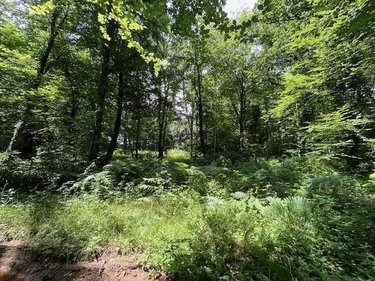 Terrains de loisirs bois etangs a vendre Broualan 35120 Ille-et-Vilaine 33000 m2  524600 euros