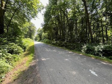 Terrains de loisirs bois etangs a vendre Broualan 35120 Ille-et-Vilaine 33000 m2  524600 euros