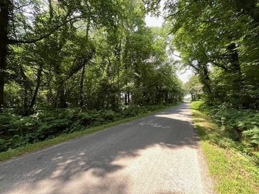 Terrains de loisirs bois etangs a vendre Broualan 35120 Ille-et-Vilaine 33000 m2  461720 euros