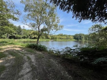 Terrains de loisirs bois etangs a vendre Broualan 35120 Ille-et-Vilaine 33000 m2  524600 euros