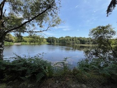 Terrains de loisirs bois etangs a vendre Broualan 35120 Ille-et-Vilaine 33000 m2  524600 euros