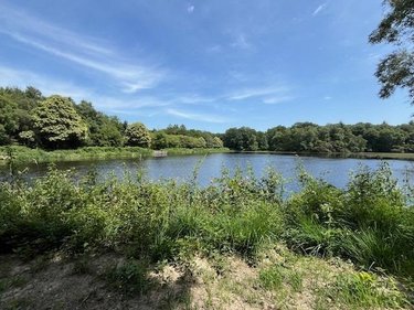 Terrains de loisirs bois etangs a vendre Broualan 35120 Ille-et-Vilaine 33000 m2  461720 euros