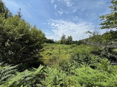Terrains de loisirs bois etangs a vendre Broualan 35120 Ille-et-Vilaine 33000 m2  524600 euros