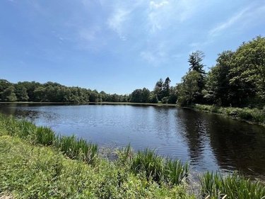 Terrains de loisirs bois etangs a vendre Broualan 35120 Ille-et-Vilaine 33000 m2  524600 euros