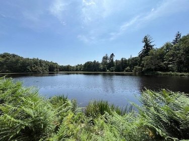 Terrains de loisirs bois etangs a vendre Broualan 35120 Ille-et-Vilaine 33000 m2  524600 euros