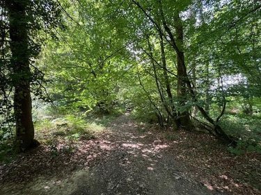Terrains de loisirs bois etangs a vendre Broualan 35120 Ille-et-Vilaine 33000 m2  524600 euros