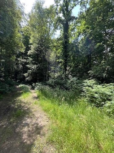 Terrains de loisirs bois etangs a vendre Broualan 35120 Ille-et-Vilaine 33000 m2  524600 euros