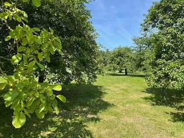 Maison a vendre Mont-Dol 35120 Ille-et-Vilaine 130 m2 7 pièces 315000 euros