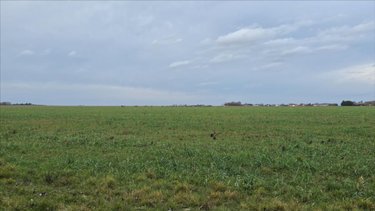 Bien agricole a vendre Neuvy-Pailloux 36100 Indre  6400000 euros