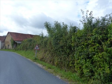 Terrain a batir a vendre Montsenelle 50250 Manche 1331 m2  27872 euros
