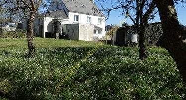 Maison a vendre Audierne 29770 Finistère 175 m2 9 pièces 208500 euros