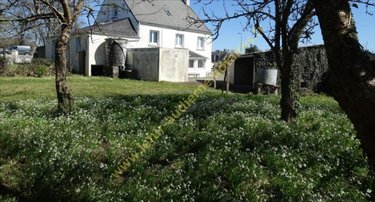 Maison a vendre Audierne 29770 Finistère 175 m2 9 pièces 228165 euros