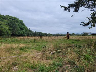 Terrain a batir a vendre Roudouallec 56110 Morbihan 17556 m2  36188 euros