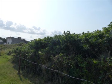 Terrain a batir a vendre Bretteville-sur-Ay 50430 Manche 1678 m2  88800 euros
