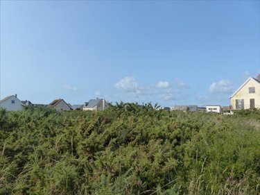 Terrain a batir a vendre Bretteville-sur-Ay 50430 Manche 1678 m2  88800 euros