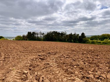 Terrain a batir a vendre Saint-Renan 29290 Finistère 421 m2  128400 euros