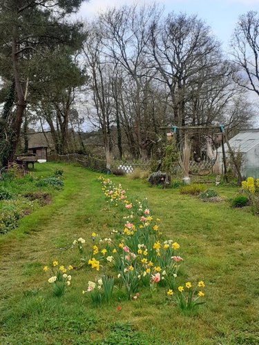 Maison a vendre Herbignac 44410 Loire-Atlantique 148 m2 5 pièces 365750 euros