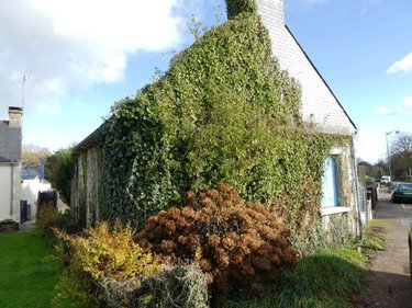 Maison a vendre Lignol 56160 Morbihan 60 m2 3 pièces 40500 euros