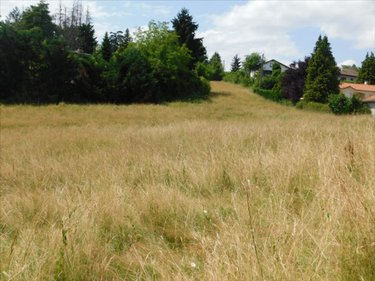 Terrain a batir a vendre Jujurieux 01640 Ain 800 m2  110500 euros