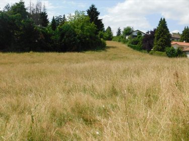 Terrain a batir a vendre Jujurieux 01640 Ain 700 m2  97500 euros