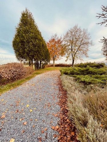 Maison a vendre Val-des-Marais 51130 Marne 45 m2 4 pièces 78600 euros