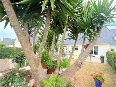 Maison a vendre Cherbourg-en-Cotentin 50100 Manche 85 m2 4 pièces 289000 euros