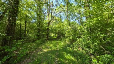 Maison a vendre Vendoeuvres 36500 Indre 145 m2 5 pièces 1090000 euros