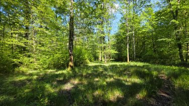 Maison a vendre Vendoeuvres 36500 Indre 145 m2 5 pièces 1090000 euros