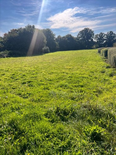 Terrain a batir a vendre Plonévez-du-Faou 29530 Finistère 7970 m2  58850 euros