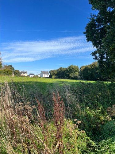 Terrain a batir a vendre Plonévez-du-Faou 29530 Finistère 7970 m2  58850 euros