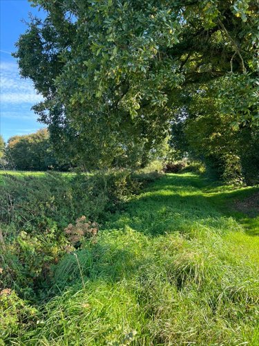 Terrain a batir a vendre Plonévez-du-Faou 29530 Finistère 7970 m2  58850 euros