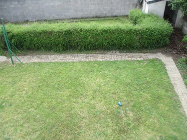 Location maison Carhaix-Plouguer 29270 Finistère 82 m2 5 pièces 700 euros