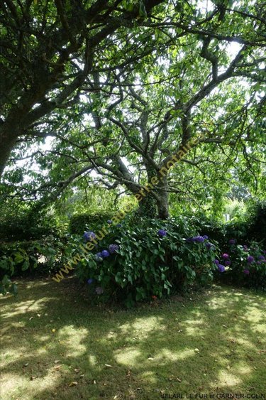 Maison a vendre Beuzec-Cap-Sizun 29790 Finistère 130 m2 6 pièces 198150 euros