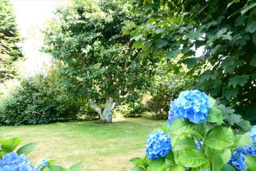 Maison a vendre Névez 29920 Finistère 93 m2 4 pièces 194985 euros