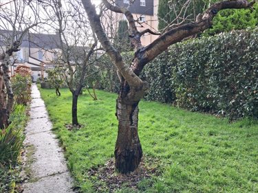 Maison a vendre Cherbourg-en-Cotentin 50100 Manche 78 m2 5 pièces 180385 euros