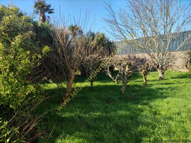 Maison a vendre Plozévet 29710 Finistère 99 m2 4 pièces 280950 euros