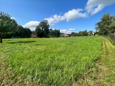 Terrain a batir a vendre Borey 70110 Haute-Saône 1254 m2  50000 euros