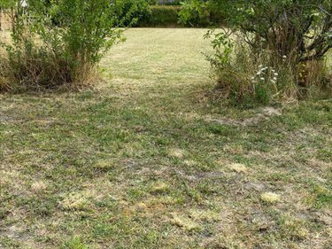 Terrain a batir a vendre Bossée 37240 Indre-et-Loire 723 m2  39900 euros