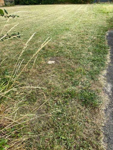 Terrain a batir a vendre Bossée 37240 Indre-et-Loire 723 m2  39900 euros