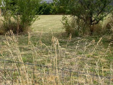 Terrain a batir a vendre Bossée 37240 Indre-et-Loire 723 m2  39900 euros