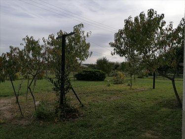 Maison a vendre Descartes 37160 Indre-et-Loire 70 m2 3 pièces 105000 euros