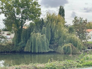 Maison a vendre Marans 17230 Charente-Maritime 106 m2 4 pièces 260000 euros